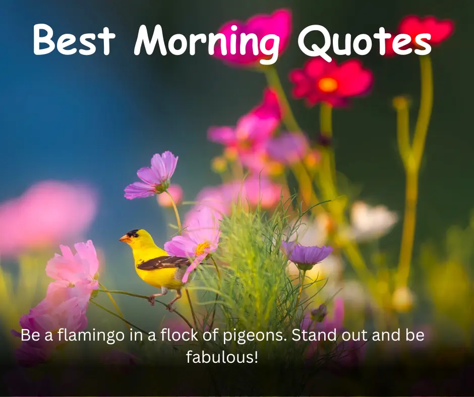 Best Positive Morning Quotes