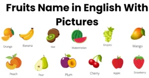 Explore The List Of 50+ Fruits Name in English with Pictures