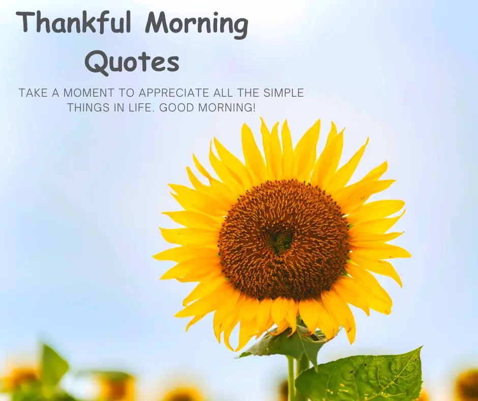 Thankful Morning Quotes