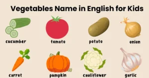 Top 60+ Vegetables Name in English for Kids With Pictures