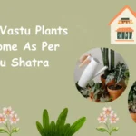 Vastu Plants For Home As Per Vastu Shatra