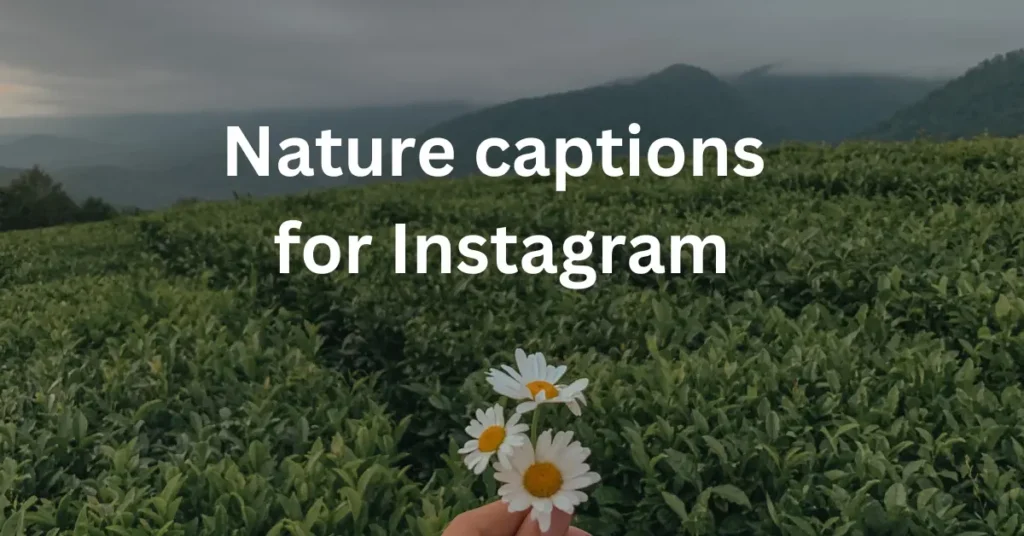 Nature captions for Instagram