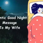 Romantic Good Night Message for Wife