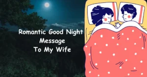 90+ Sweet Romantic Good Night Message To My Wife