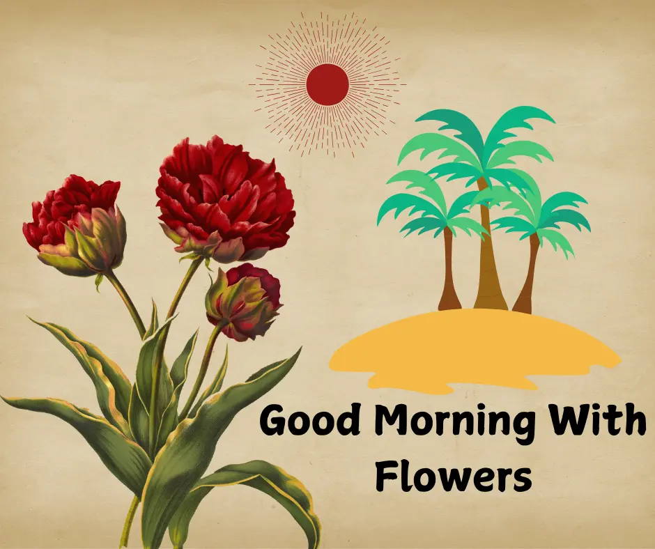 good morning flowers