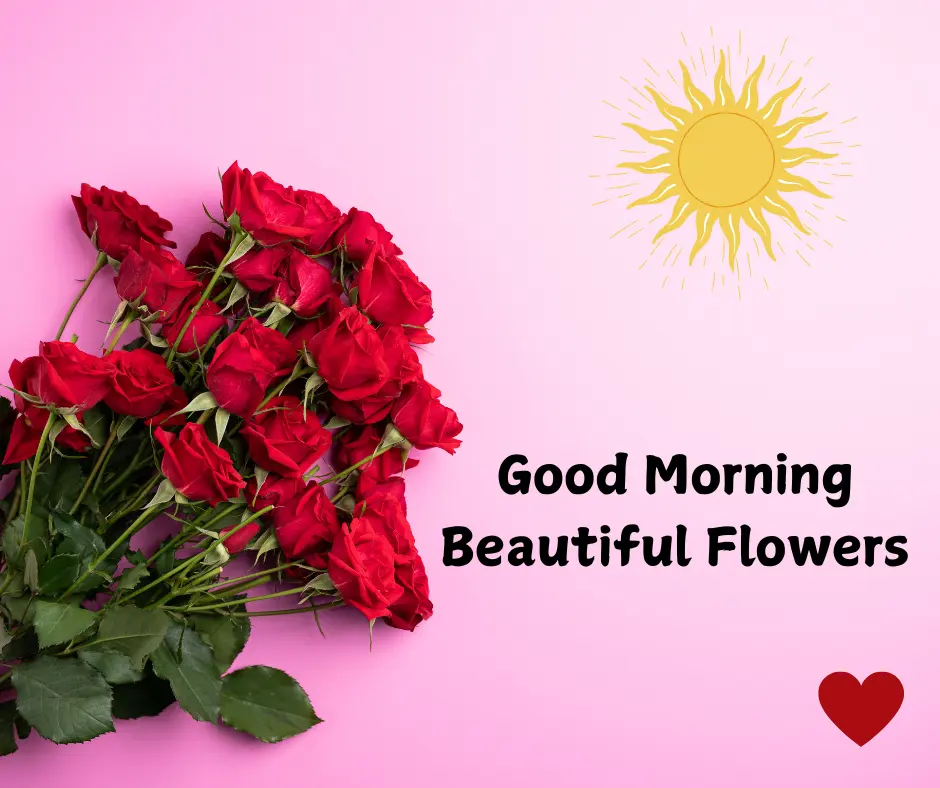 good morning images with beautiful flowers