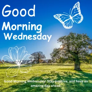 Good Morning Wednesday Status, Wishes and Image