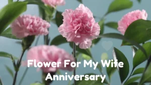 The Top 10 Most Popular Flowers For Wife Anniversary