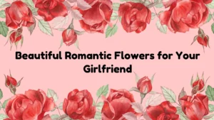 Top 10+ Beautiful Romantic Flowers to Gift Your Girlfriend